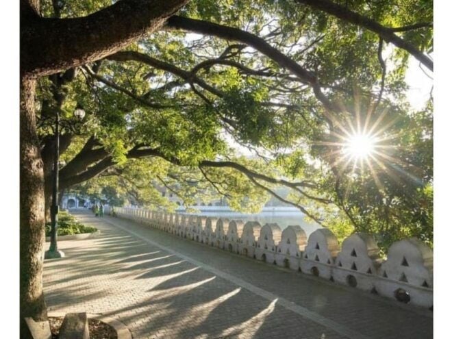 Kandy: City Tour by Budget Taxi (Local Guide) - Detailed Itinerary
