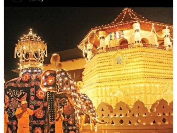 Kandy: City Tour by Budget Taxi (Local Guide) - Frequently Asked Questions