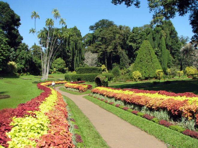 Kandy City Tour by Locals - Tour Inclusions