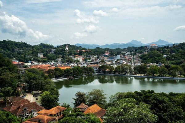 Kandy City Tour by Locals - Pricing and Booking Details