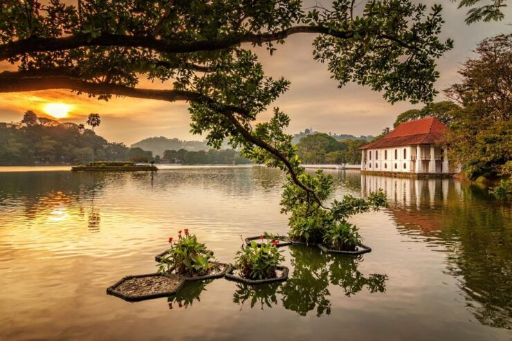 Kandy City Tour by Tuk Tuk - Experience Highlights