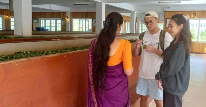Kandy City Tour by Tuk Tuk - Itinerary Highlights