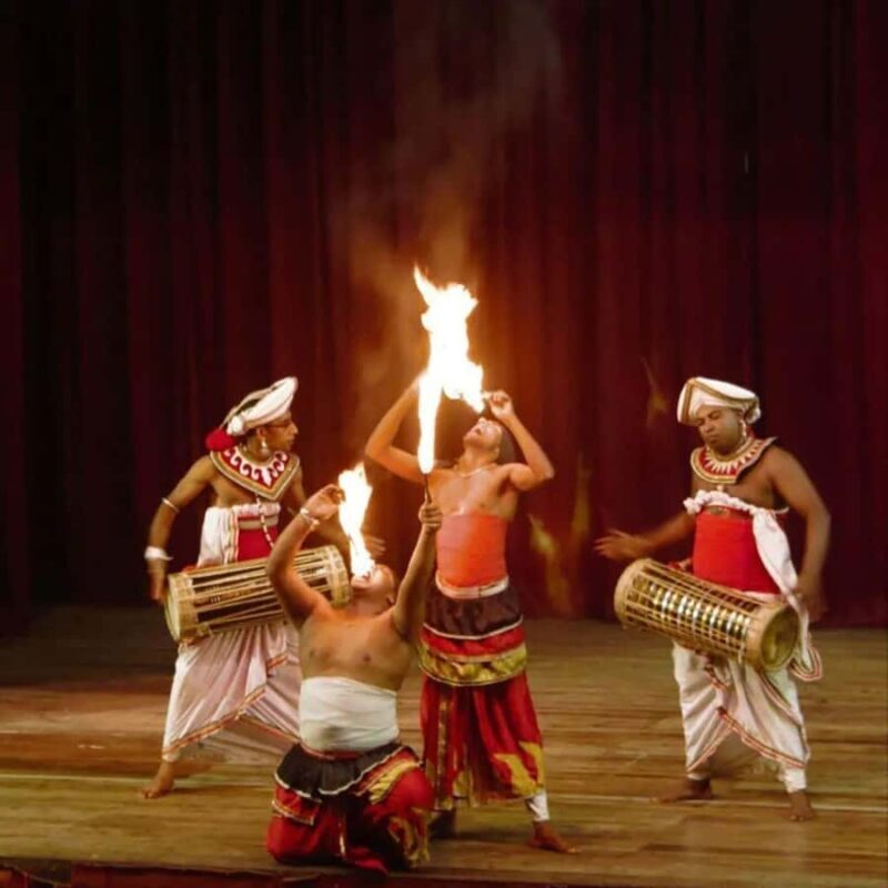 Kandy City Tour :Cover 13+ Places Within a Single Day - The Sum Up