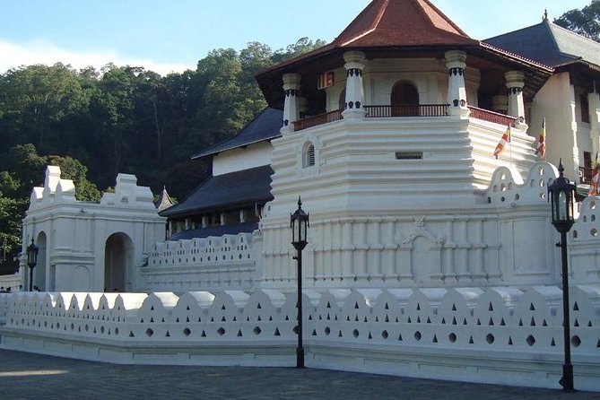 Kandy City Tour - Overall Rating and Review Breakdown