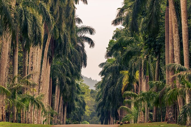 Kandy City Tour From Colombo - Reviews
