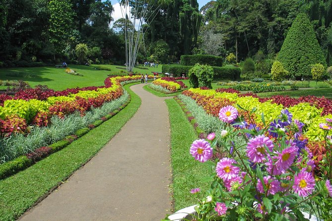 Kandy City Tour From Colombo - Pricing and Additional Information