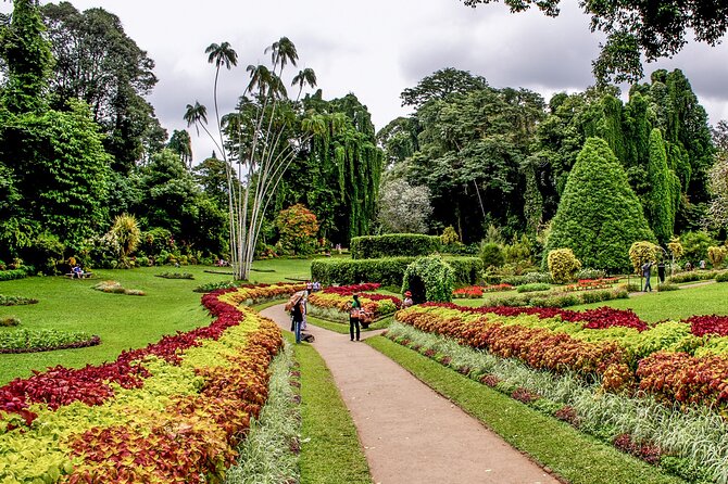 Kandy City Tour From Colombo - Background