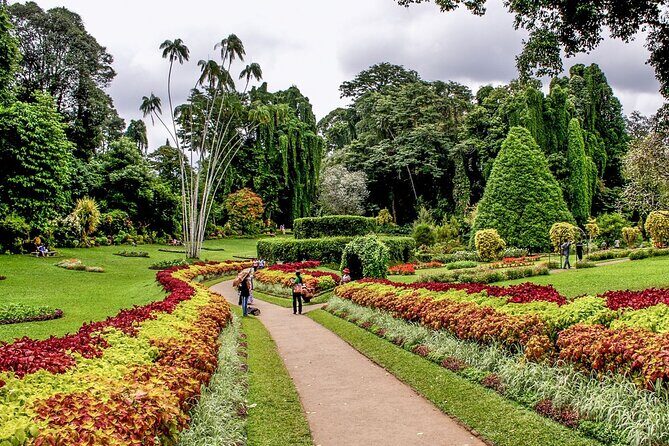 Kandy City Tour & Scenic Visit to Ambuluwawa Tower - Good To Know  
