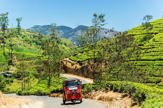 Kandy City Tour - Tuk Tuk - Booking Information