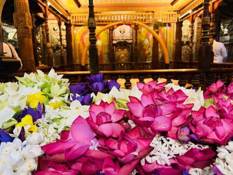 Kandy: City Tour with Ambuluwawa Tower Day Trip - FAQ