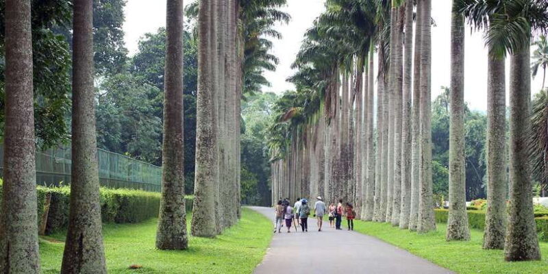 Kandy City Tour With Ambuluwawa Tower - Practical Details and Tips