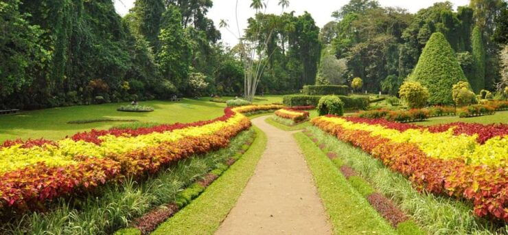 Kandy: City Tour With Ancient Legacy - Good To Know
