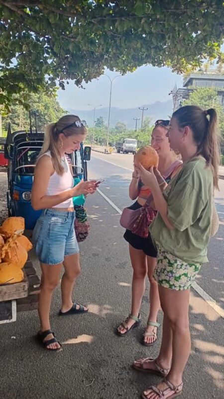 Kandy: City Tour with Sigiriya and Nuwara Eliya by Tuk-Tuk - Who Will Love This Tour?