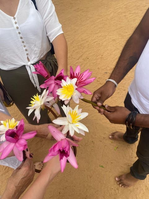 Kandy City Tour With Sri Lanka Travel Mate - What to Expect During the Tour