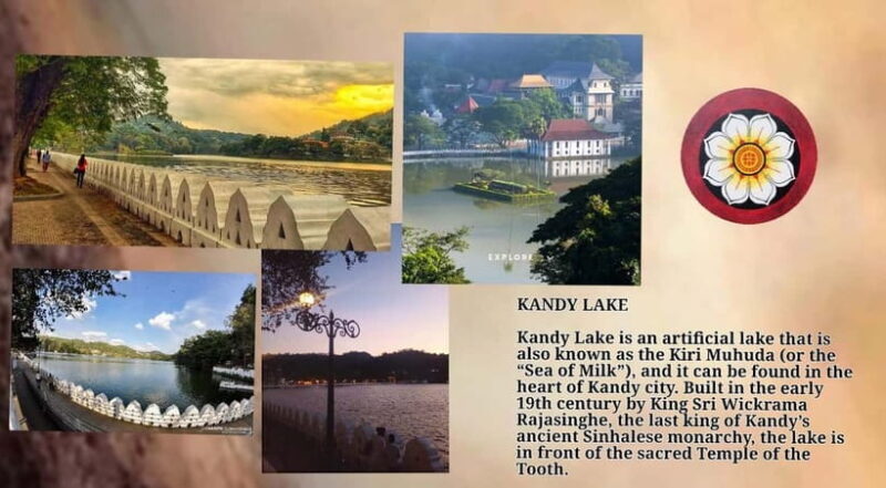 Kandy: City Tour with Temple of the Tooth & Tea Garden - Good To Know