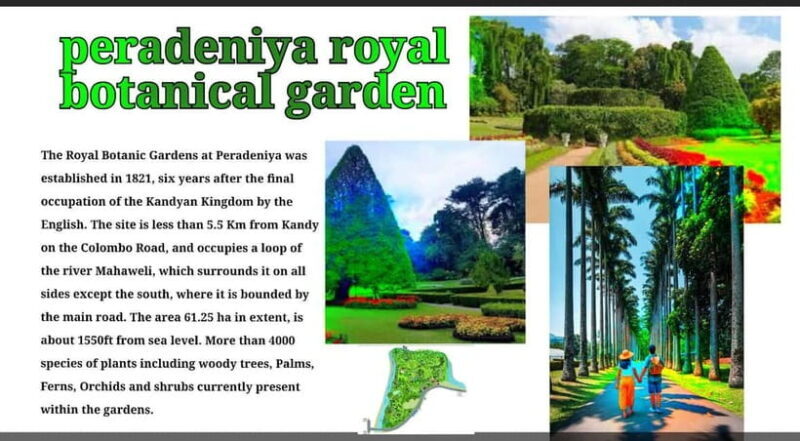 Kandy: City Tour with Temple of the Tooth & Tea Garden - Discovering Kandy: A Guided Tour of Culture, Heritage, and Nature