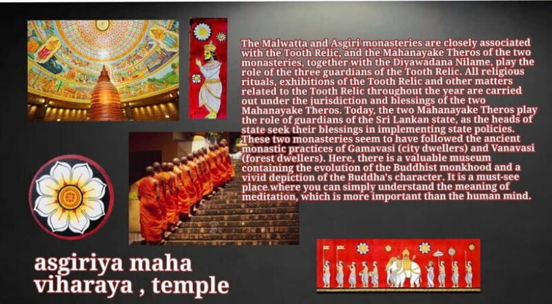 Kandy: City Tour with Temple of the Tooth & Tea Garden - Final Thoughts