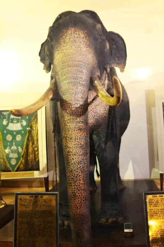 Kandy: Cultural Tour, Temple of Tooth Relic,Ultimate Temples - Cultural and Spiritual Stops: Temples and Monasteries