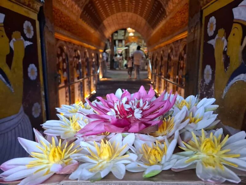 Kandy: Cultural Tour, Temple of Tooth Relic,Ultimate Temples - FAQ