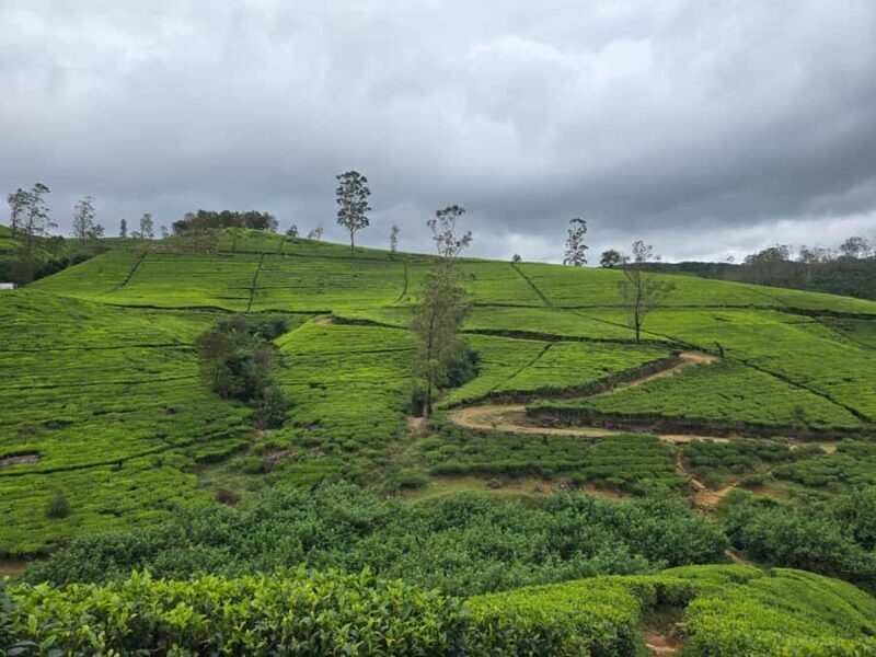 Kandy: Dambulla Cave Temple, Pidurangala & Cooking Tour - Final Thoughts: Who Should Consider This Tour?