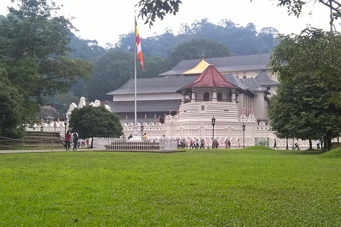 Kandy Day Tour From Colombo - Itinerary