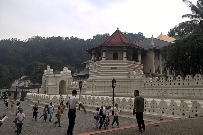 Kandy Day Tour From Colombo - Tips and Recommendations