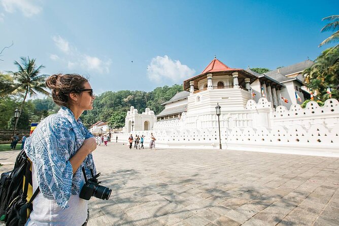 Kandy Day Tour From Colombo - Tour Highlights