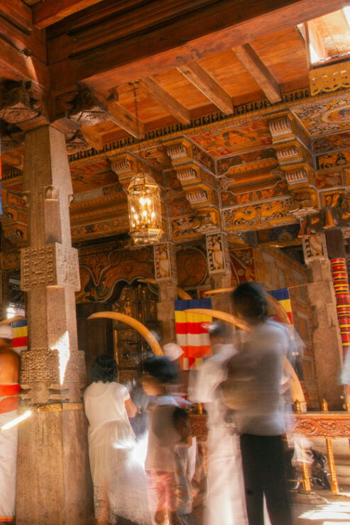 Kandy Day Tour From Colombo - Itinerary Highlights