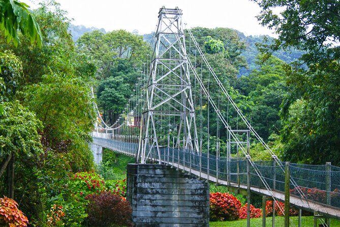 Kandy Day Tour from Galle - A Closer Look at the Tour