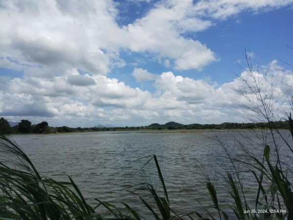Kandy; Day Tour to Sigiriya & Elephant Safari - Important Information