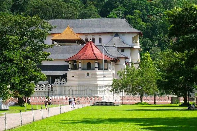 Kandy Day Trip From Colombo: Tea Factory- Peradeniya Botanical Gardens-Kandy - Inclusions and Meeting Details