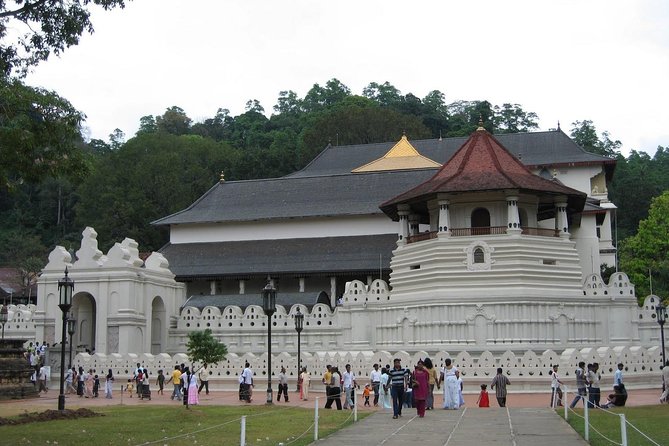 Kandy Day Trip With Tooth Relic Temple & Unique Attractions - Royal Botanical Gardens Exploration
