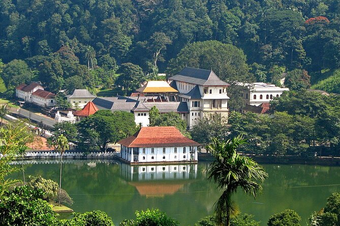 Kandy Day Trip With Tooth Relic Temple & Unique Attractions - Private Transfers From Beach Towns