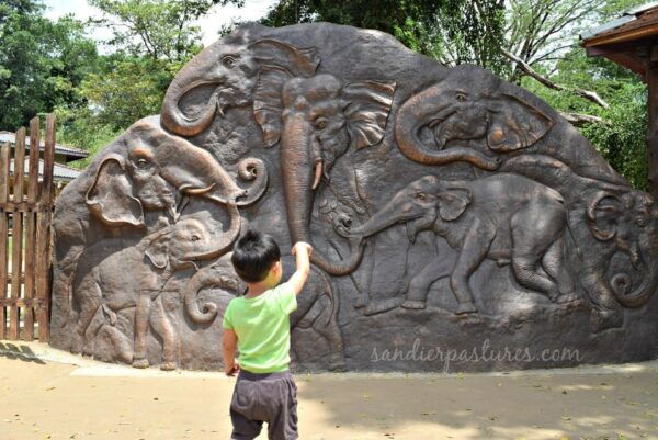 Kandy Drop With Pinnawala Elephant Orphanage From Colombo - Important Information