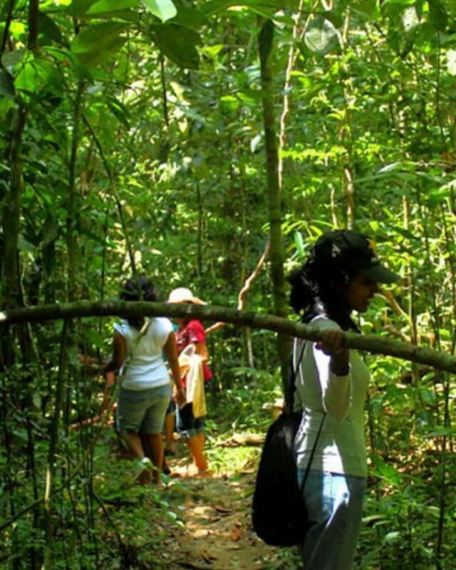 Kandy: Eco Village Tour with Cooking Program - Final Thoughts: Who Will Love This Tour?