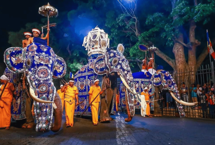Kandy: Esala Perahera Festival Ticket - August 15th-19th - Highlights of the Celebration