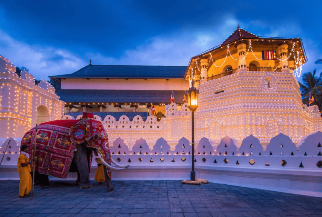 Kandy: Esala Perahera Festival Ticket - August 15th-19th - Booking Process