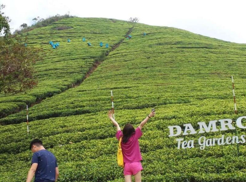 Kandy : From Kandy to Nuwara Eliya Day Tour by Tuk tuk - Activities at Lake Gregory and Local Attractions  