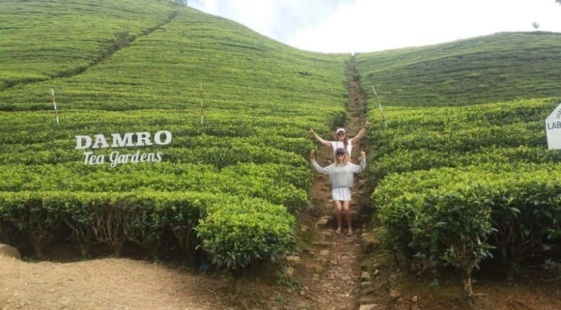 Kandy : From Kandy to Nuwara Eliya Day Tour by Tuk tuk - What to Bring and Wear  