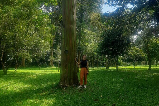 Kandy Full Day Tour from Colombo and Negombo and CMB Airport - Spice and Herbal Gardens