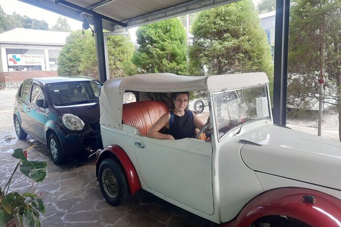 Kandy Full Day Tour from Colombo and Negombo and CMB Airport - Tea Time: Grown-Up Coffee Break at Giragama Tea Factory