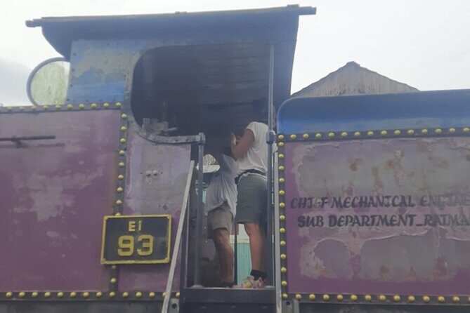 Kandy Full Day Tour from Colombo and Negombo and CMB Airport - The Botanical Gardens: A Green Haven