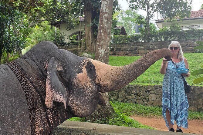 Kandy Full Day Tour Private All Inclusive - Good To Know