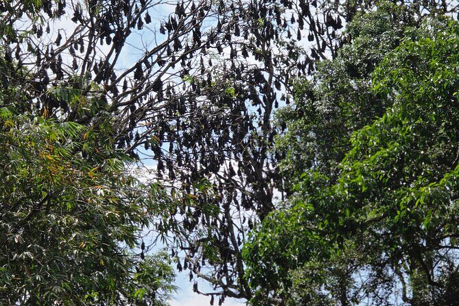 Kandy Full Day Tour Private All Inclusive - Who Is This Tour Best Suited For?