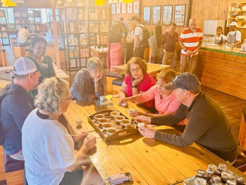 Kandy: Gem, Tea, Spices, Wood Carving Workshop Tour by Tuk - What You Can Expect from the Tour