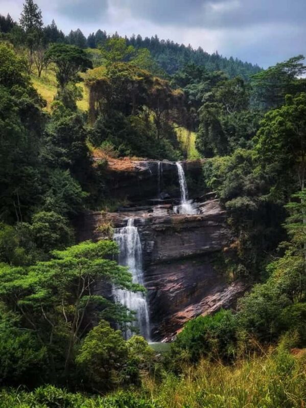 Kandy: Gombaniya Two-Day Cloud Forest Summit Trek - What to Expect from the Trek