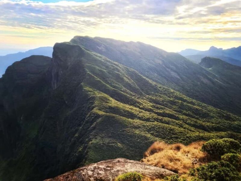 Kandy: Gombaniya Two-Day Cloud Forest Summit Trek - Practical Tips for the Trek