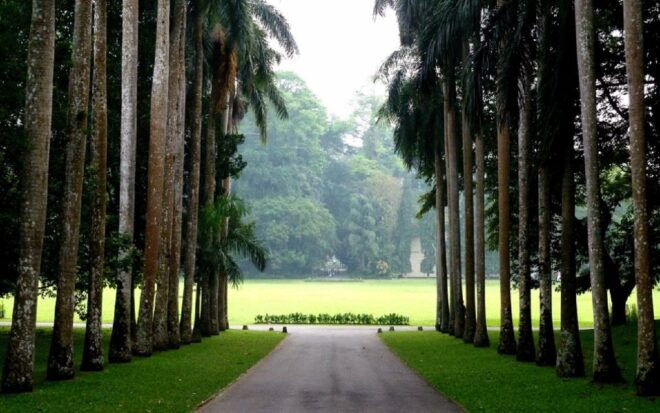 Kandy: Guided City Tour With Tuk Tuk Transfers - Customer Reviews and Recommendations