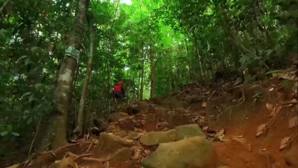 Kandy: Guided City Tour With Tuk Tuk Transfers - Explore the Cultural and Natural Beauty of Kandy