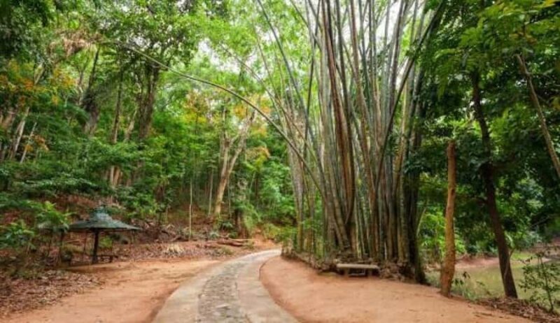 Kandy: Heritage and Architectural by Tuk Tuk - Who Would Enjoy This Tour?